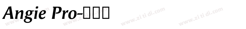 Angie Pro字体转换